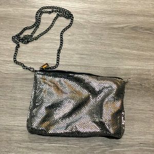 Metallic Purse